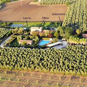 Podere Campi Al Mare , Donoratico Italien
